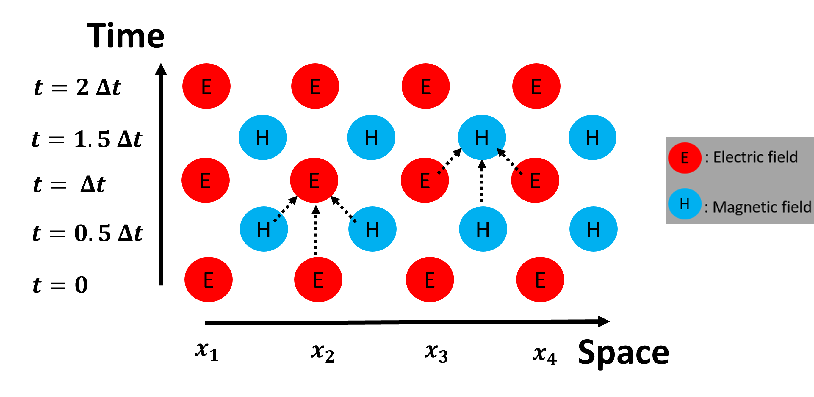 Figure 3 Schematic showing the 1D-updating process in FDTD known as leapfrog scheme. The dotted arrows depict how the fields contribute in the updating process.